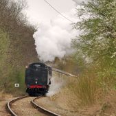 5-73050