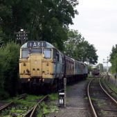 31