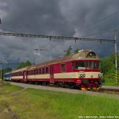 854-019