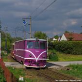 T47-019