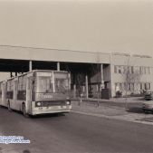 Ikarus 280.26 #24554