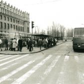 Ikarus 280.26 #34175