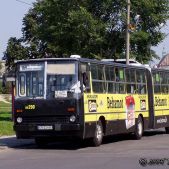 Ikarus 280.26 #DK290