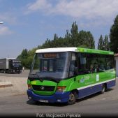 Jelcz M081MB #DH352