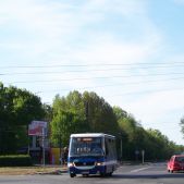 Jelcz M081MB #BH385