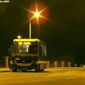 Jelcz M081MB #BH384