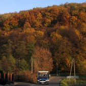 Jelcz M081MB #BH386