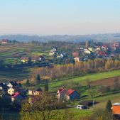 Jelcz M081MB #BH387