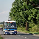 Jelcz M081MB #BH388