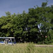 Jelcz M081MB #BH390