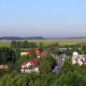 Jelcz M081MB #BH391
