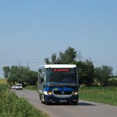 Jelcz M081MB #BH397