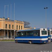 Jelcz M081MB #DH353