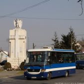 Jelcz M081MB #DH355