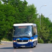 Jelcz M081MB #DH356