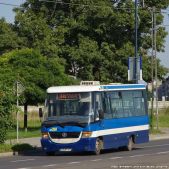 Jelcz M081MB #DH356