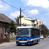 Jelcz M081MB #DH361