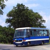 Jelcz M081MB #DH366