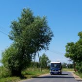 Jelcz M081MB #DH367