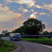Jelcz M081MB #DH369