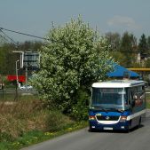 Jelcz M081MB #DH370
