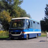 Jelcz M081MB #DH357