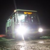 Jelcz M081MB #DH373