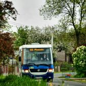 Jelcz M081MB #BH384