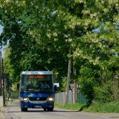 Jelcz M081MB #BH387