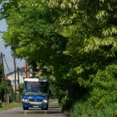 Jelcz M081MB #BH387