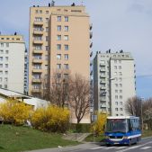 Jelcz M081MB #BH391