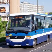 Jelcz M081MB #DH361