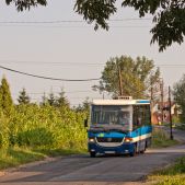Jelcz M081MB #DH361