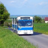 Jelcz 120M #BF281