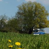 Jelcz 120M #BF281