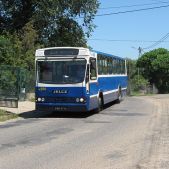 Jelcz 120M #BF244