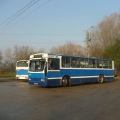 Jelcz 120M #BF317