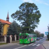 Jelcz 120M #BF288