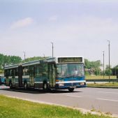 Jelcz M182MB #DD426