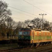 183-035