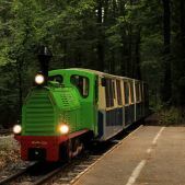 Wls40-1225
