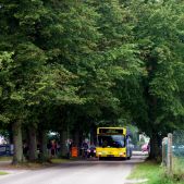 MAN NL222 #1162