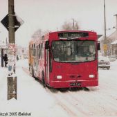 Jelcz M121MB #DJ619