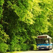 Jelcz M121MB #DJ684