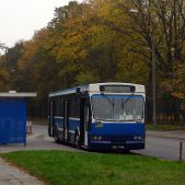 Jelcz M121M #BJ621