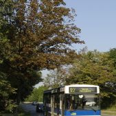 Jelcz M121M #BJ628