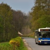 Jelcz M121MB #DJ681
