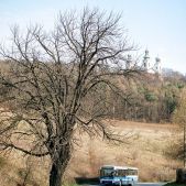 Jelcz M121MB #DJ662