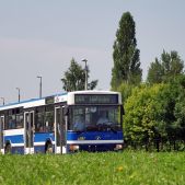 Jelcz M121MB #DJ667
