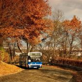 Jelcz M121MB #DJ678